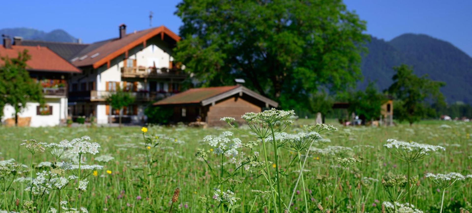 Ferienwohnungen Ramslerhof Inkl. Chiemgaukarte Ruhpolding Exterior photo